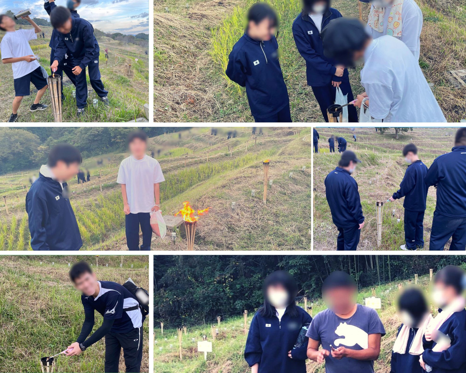 Green Back to School Photo Collage (1)